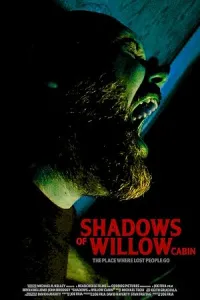 Shadows of Willow Cabin (2025) HQ Hindi Subtitles