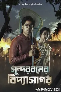 Sundarbaner Vidyasagar (2022) Bengali Season 1 Complete Show