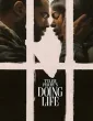 Doing Life (2026) ORG Hindi Dubbed Movie