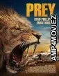 Prey (2024) HQ Telugu Dubbed Movie